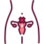 Anovulation Treatment