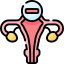 Erectile Dysfunction