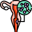 Yeast Infection